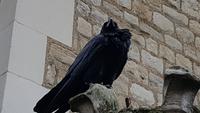 Tower of London &ndash; &copy; Marlies Thrum (Eberhardt TRAVEL)