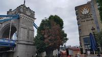 auf Widersehen London &ndash; &copy; Marlies Thrum (Eberhardt TRAVEL)