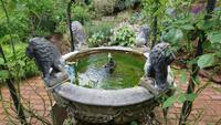 Beschaulich im Park von Windsor Castle &ndash; &copy; Stefan Jahnke (Eberhardt TRAVEL)