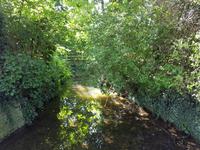 708_Lacock &ndash; &copy; Jörg Nesse (Eberhardt TRAVEL)
