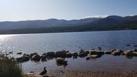 Loch Morlich &ndash; &copy; Marlies Thrum (Eberhardt TRAVEL)