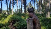 Highland Folk Museum