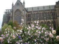 Schlosspark Arundel &ndash; &copy; Barbara Pflicke (Eberhardt TRAVEL)