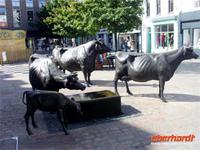 Den Jerseykühen ein Denkmal &ndash; &copy; Peter Rudolph (Eberhardt TRAVEL)