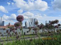 Rotterdam &ndash; &copy; Sabine Letzybyll (Eberhardt TRAVEL)
