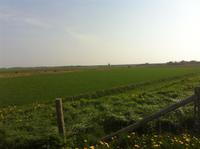 Auf Texel &ndash; &copy; Martin Jentzsch (Eberhardt TRAVEL)