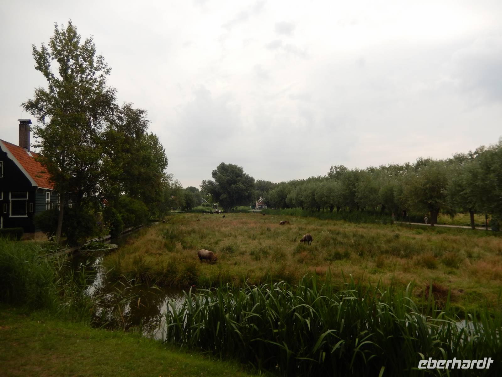 RBG Nordholland 074 &ndash; &copy; Josefin Keilwagen (Eberhardt TRAVEL)