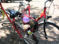 Zu Gast in Holland &ndash; &copy; Bernd-Tilo Mildner (Eberhardt TRAVEL)