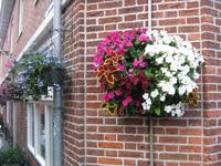 Alkmaar &ndash; &copy; Bernd-Tilo Mildner (Eberhardt TRAVEL)