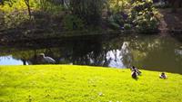 Park in Enkhuizen &ndash; &copy; Matthias Makowski (Eberhardt TRAVEL)
