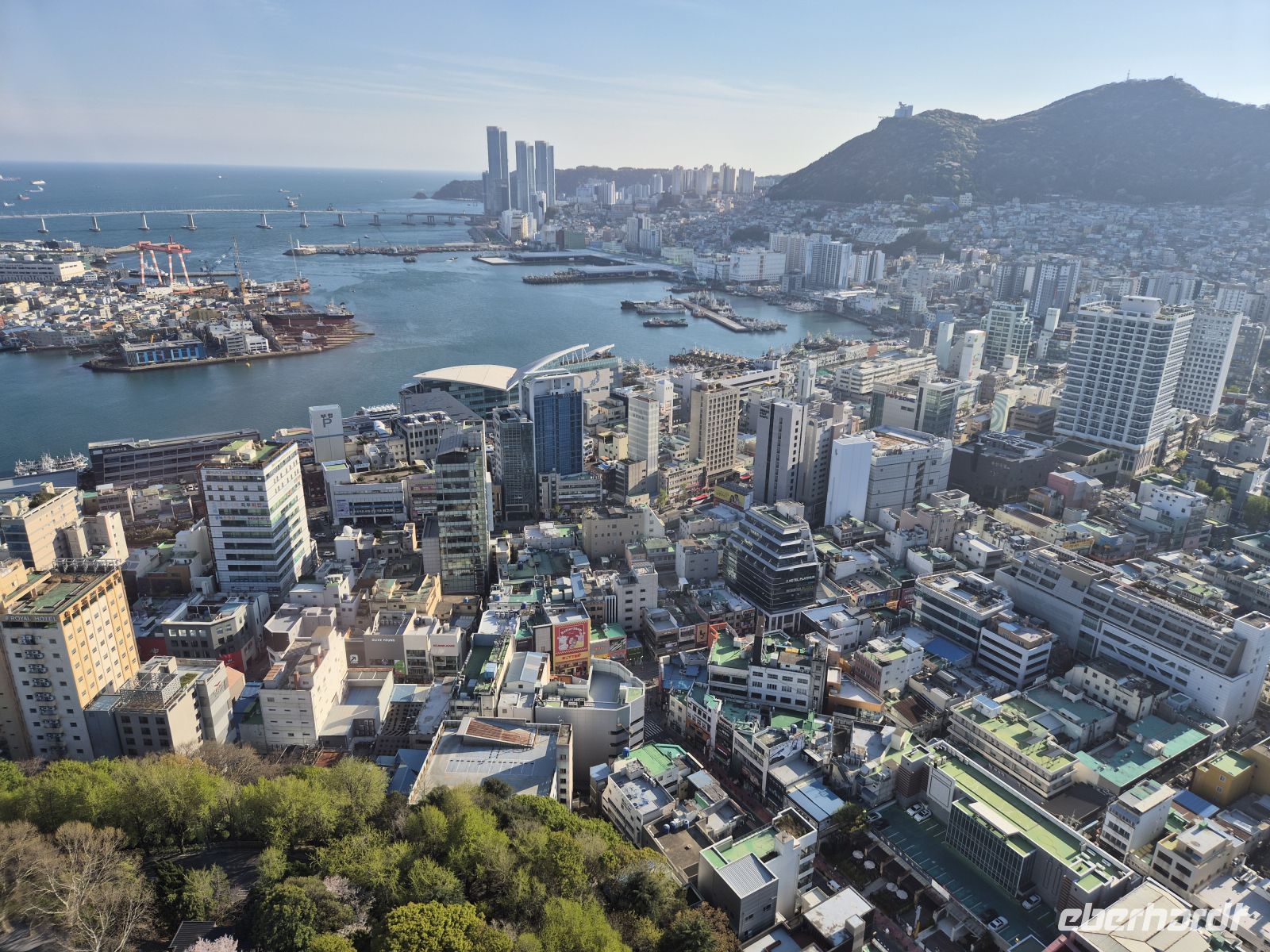 Blick vom Busan Tower &ndash; &copy; Frank Nimschowski (Eberhardt TRAVEL)