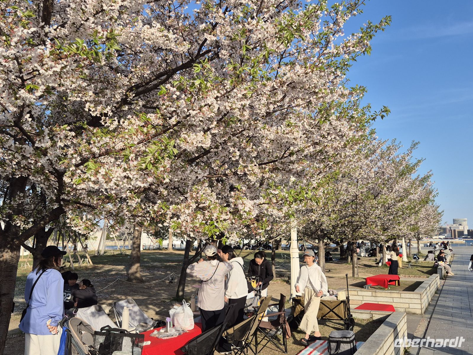 unterwegs in Kobe... &ndash; &copy; Frank Nimschowski (Eberhardt TRAVEL)