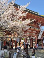 Kobe, Ikuta Shrine &ndash; &copy; Frank Nimschowski (Eberhardt TRAVEL)