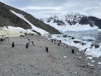 Unser erster Landgang auf Danco Island &ndash; &copy; Jacob Spangenberg (Eberhardt TRAVEL)