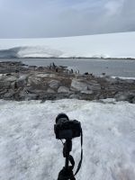 Landgang am Damoy Point auf Anvers Island &ndash; &copy; Jacob Spangenberg (Eberhardt TRAVEL)
