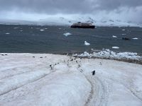 Landgang in Neko Harbour  &ndash; &copy; Jacob Spangenberg (Eberhardt TRAVEL)