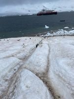 Landgang in Neko Harbour  &ndash; &copy; Jacob Spangenberg (Eberhardt TRAVEL)