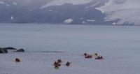 Half Moon Island &ndash; &copy; Jacob Spangenberg (Eberhardt TRAVEL)