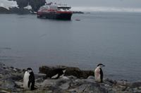Half Moon Island &ndash; &copy; Jacob Spangenberg (Eberhardt TRAVEL)