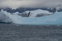 Eisberge und Eisschollen im Antarctic Sound &ndash; &copy; Jacob Spangenberg (Eberhardt TRAVEL)