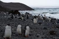 Bucht von Brown Bluff &ndash; &copy; Jacob Spangenberg (Eberhardt TRAVEL)