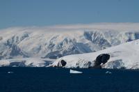 Danco Island  &ndash; &copy; Jacob Spangenberg (Eberhardt TRAVEL)