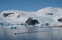 Danco Island  &ndash; &copy; Jacob Spangenberg (Eberhardt TRAVEL)