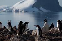 Danco Island  &ndash; &copy; Jacob Spangenberg (Eberhardt TRAVEL)