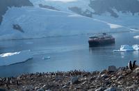 Danco Island  &ndash; &copy; Jacob Spangenberg (Eberhardt TRAVEL)