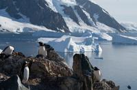Danco Island  &ndash; &copy; Jacob Spangenberg (Eberhardt TRAVEL)