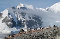 Danco Island  &ndash; &copy; Jacob Spangenberg (Eberhardt TRAVEL)
