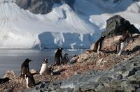 Danco Island  &ndash; &copy; Jacob Spangenberg (Eberhardt TRAVEL)