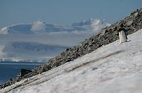 Danco Island  &ndash; &copy; Jacob Spangenberg (Eberhardt TRAVEL)