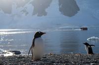 Danco Island  &ndash; &copy; Jacob Spangenberg (Eberhardt TRAVEL)
