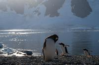 Danco Island  &ndash; &copy; Jacob Spangenberg (Eberhardt TRAVEL)