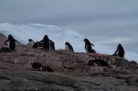 Petermann Island &ndash; &copy; Jacob Spangenberg (Eberhardt TRAVEL)