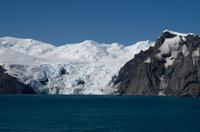 Elephant Island  &ndash; &copy; Jacob Spangenberg (Eberhardt TRAVEL)
