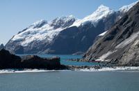 Elephant Island  &ndash; &copy; Jacob Spangenberg (Eberhardt TRAVEL)