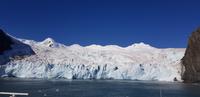 Elephant Island  &ndash; &copy; Jacob Spangenberg (Eberhardt TRAVEL)