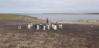 Falkland Inseln - Bluff Cove &ndash; &copy; Jacob Spangenberg (Eberhardt TRAVEL)