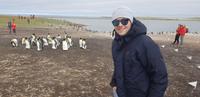 Falkland Inseln - Bluff Cove - Jacob Spangenberg &ndash; &copy; Jacob Spangenberg (Eberhardt TRAVEL)