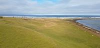 Falkland Inseln - Bluff Cove 