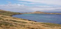 Falkland Inseln - Carcass Island &ndash; &copy; Jacob Spangenberg (Eberhardt TRAVEL)