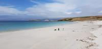 Falkland Inseln - Carcass Island &ndash; &copy; Jacob Spangenberg (Eberhardt TRAVEL)