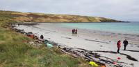 Falkland Inseln - Carcass Island &ndash; &copy; Jacob Spangenberg (Eberhardt TRAVEL)
