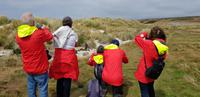 Falkland Inseln - Carcass Island &ndash; &copy; Jacob Spangenberg (Eberhardt TRAVEL)