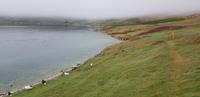 Falkland Inseln - Carcass Island &ndash; &copy; Jacob Spangenberg (Eberhardt TRAVEL)