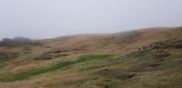 Falkland Inseln - Carcass Island &ndash; &copy; Jacob Spangenberg (Eberhardt TRAVEL)