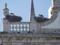 Faro &ndash; &copy; Michael Krause (Eberhardt TRAVEL)