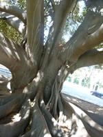 Sevilla &ndash; &copy; Grit Wendelberger (Eberhardt TRAVEL)